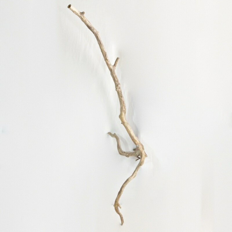 楽天市場】流木 特大の通販