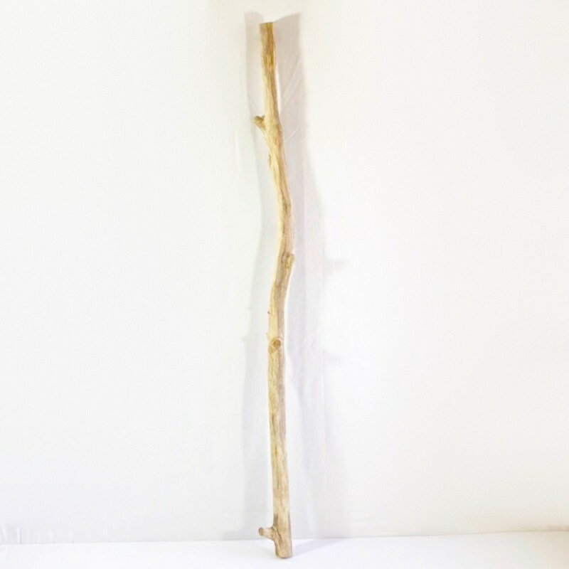 流木 特大 ハンギング 棒 素材 インテリア 1点物 棒流木 オブジェ レイアウト DIY_boe0618