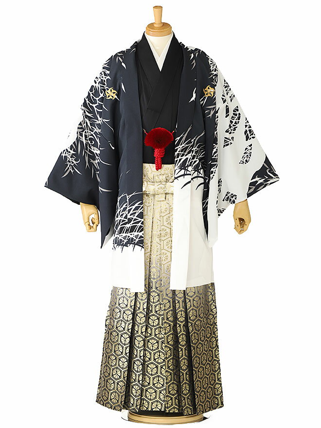 【Modern Classic 虎】 成人式 袴 男 卒業式 袴 レンタル 男 メンズ 20歳 成人式 卒業式 化繊 紋付 羽織着物 男袴 165cm 170cm 175cm 虎 往復送料無料 XG0273【レンタル】