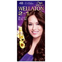 HFCプレステージ 「WELLATON(ウエラトーン)」 2+1 クリーム 4B