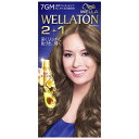 HFCプレステージ 「WELLATON(ウエラトーン)」 2+1 液状タイプ 7GM