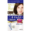 ダリア 「サロンドプロ」無香料ヘアカラー 早染めクリーム6(ダークブラウン) サロンドプロムコウHCハヤゾメC6