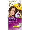 ダリヤ 「サロンドプロ」泡のヘアカラー・エクストラリッチ 1 シャイニングブラウン サロンドPアワカラーER1(1