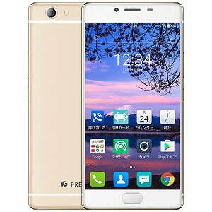 FREETEL REI 麗 Android 6.0・5.2型・SIMフリースマートフォン FTJ161B‐REI‐CG (シャン...