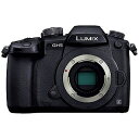 パナソニック LUMIX GH5「ボディ(レンズ別売)/ミラ...