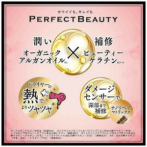 ストーリア モイスト ダイアン トリートメント パーフェクト ビューティー エクストラストレート 詰め
