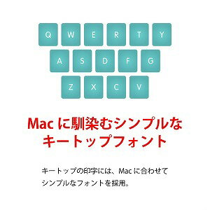 東プレ REALFORCE　R2　Mac標準日本語配列（JIS）　フル／114キー R2−JPVM−BK　ブラック