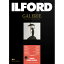 イルフォード　ギャラリープレステージ　ゴールドファイバーグロス　310g／m2　（A4サイズ・25枚）　422365