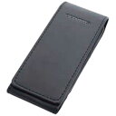 オリンパス OLYMPUS LS−P2/DM−720用レザーケース CS150