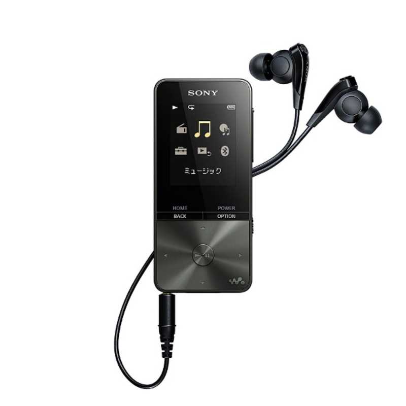 ˡSONYǥ륪ǥץ졼䡼WALKMANS310꡼ʥ֥å4GBˡNW-S313 BC ڥ磻FMб