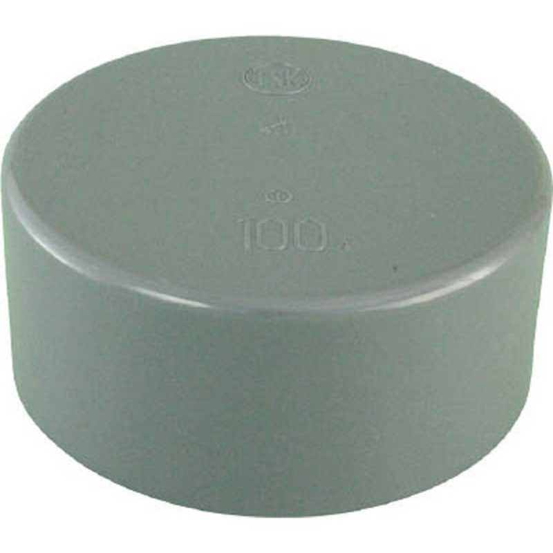 ɴɵVUѼꡡåס100VUCAP100