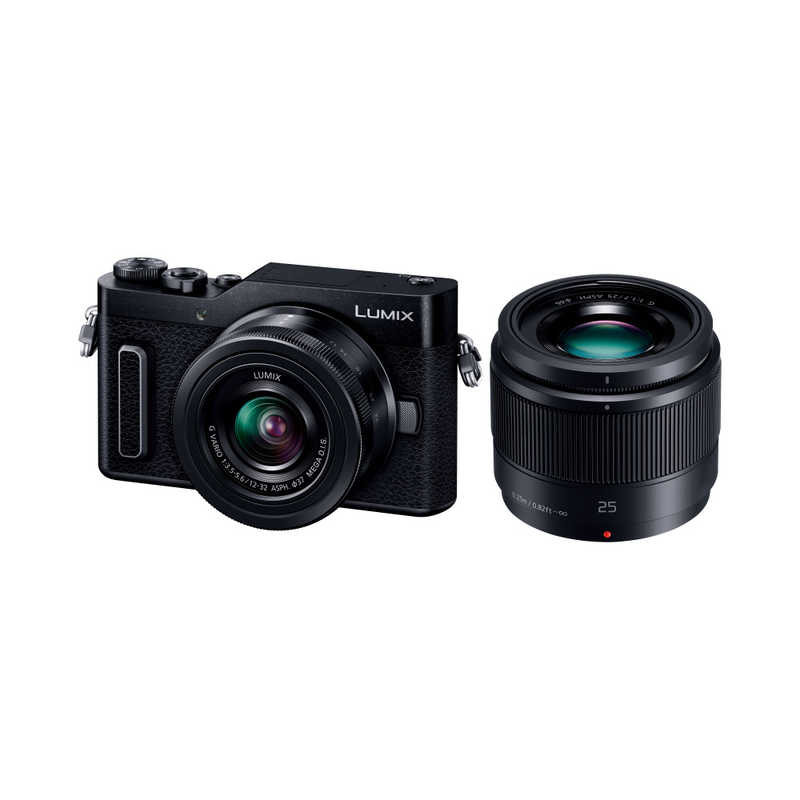 パナソニック　Panasonic　ミラーレス一眼カメラ　LUMIX　GF10（ダブルレンズキット）　DC-GF10W-K(ブラック)