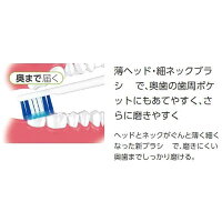 電動歯ブラシ 美容 健康家電 デンタルケアパナソニック Panasonic 電動歯ブラシ doltz ドルツ 黒 Ew Dt51 K コジマ店 電動歯ブラシ 美容 健康家電 デンタルケアパナソニック Panasonic 電動歯ブラシ doltz ドルツ 黒 Ew Dt51 K コジマ店