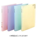 ナカバヤシ ミニホルダー「プチクルールCA」(キャビネ判/1段ポケット) HCC‐CA‐P