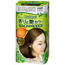 花王 Blaune(ブローネ) 香りと艶カラー 濃厚クリーム 早染めタイプ 4H ハニーブラウン 1剤40g+2剤40g
