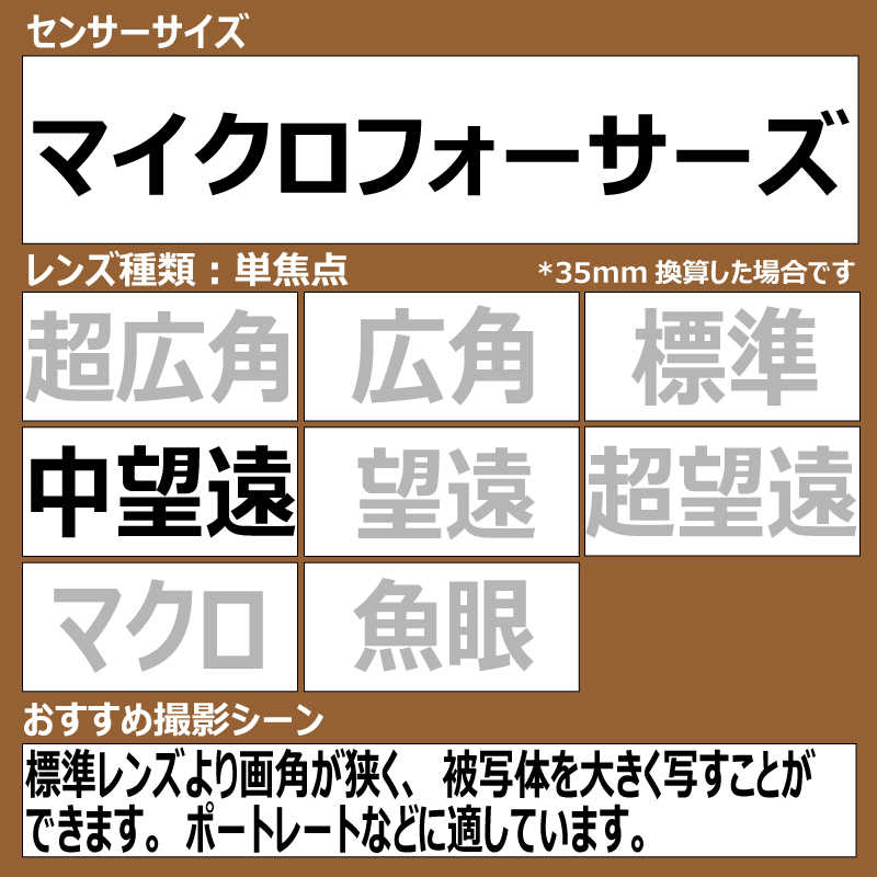 パナソニック　Panasonic　カメラレンズ LEICA DG NOCTICRON 42.5mm/F1.2 ASPH./PO...