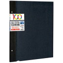 ナカバヤシ 100年台紙用 ビス式フリー替台紙5枚入 (Lサイズ/ブラック) アH‐LFR‐5‐D