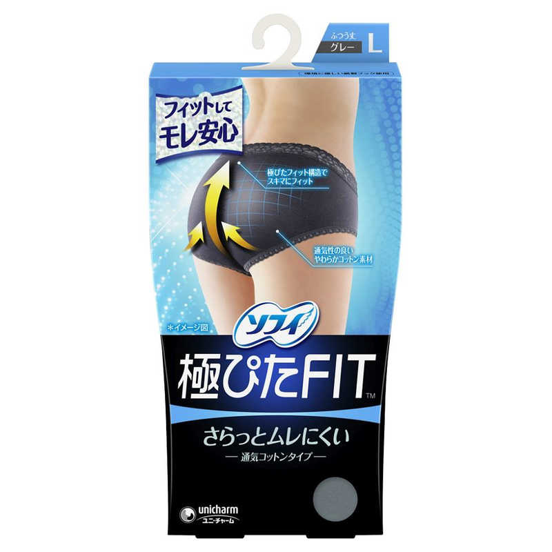 ユニチャーム　(sofy(ソフィ)) ナチュラルフィットL ブルーグレイ〔サニタリー用品(生理用品)〕