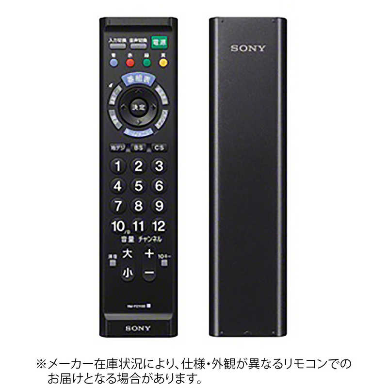 ソニー　SONY　リモートコマンダー　　RM-PZ110D B