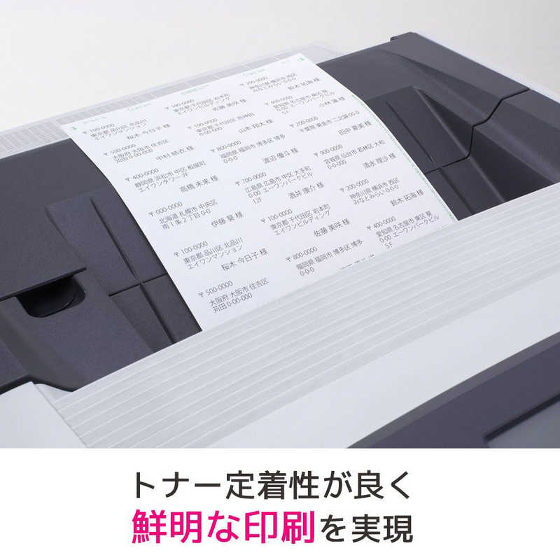 エーワン ラベルシール レーザープリンタ 四辺余白付 Ａ４サイズ ２４ 