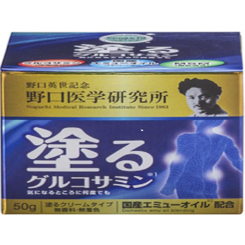 野口医学研究所　イージーリリーフ50g