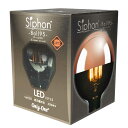 ビートソニック 調光器対応LED電球 Copper mirror 「Siphon（サイフォン）」（ボール95 全光束420lm／暖系電球色 E26） LDF63