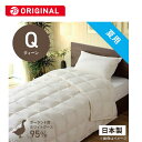 生毛工房 肌掛け羽毛布団生毛ふとん PR410-B2 クィーン(210×210cm) 夏用 ポーランド産ホワイトグースダウン95% 日本製