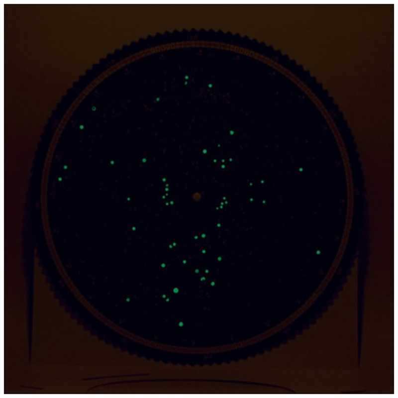 �ӥ����������ḫ�ס�����Ͽޡʥ����ȥɥ��ˡ��������ϥ�ߥХ󥽥�Υ���