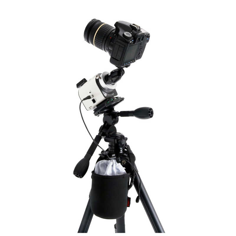 �ӥ����󡡻��ӥ��������꡼�ݡ��������󥭥㥯���������꡼�ݡ���