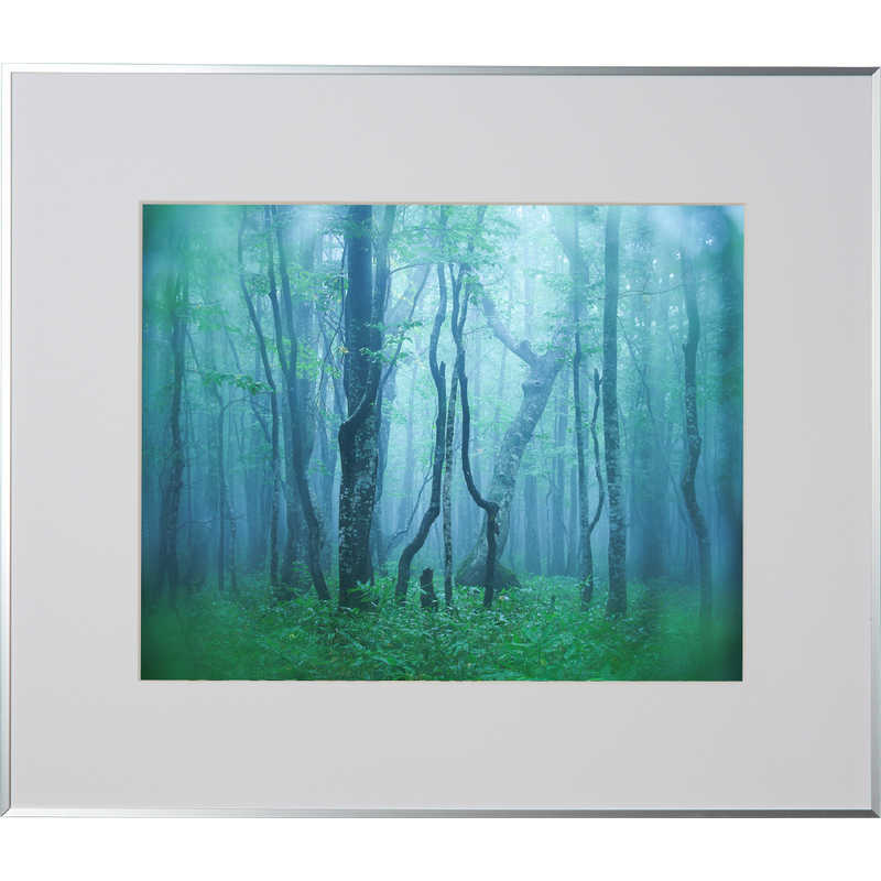 ケンコー　ギャラリー　半切　シルバー　AGY-H-SV