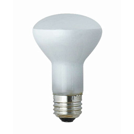 東京メタル レフランプ形 白熱電球 RF110V54W-TM 東京メタル レフランプ形 白熱電球 RF110V54W-TM