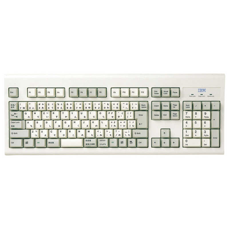 【商品解説】●NEC　MATE用PS／2　109キーボード用キーボードカバーです。（シリコン製）●FA−TIBM95のシリコン版です。医療現場でも使われている、高級シリコンを使用しています。●お茶やコーヒーがこぼれても安心。中性洗剤であらえます。●タバコの灰が落ちても大丈夫。ほこり、汚れなどからキーボードを守ります。●ソフトタッチで、手にやさしい。腱鞘炎を防ぐ効果もあります。●破れにくく、丈夫な素材。復元性にも優れています。【スペック】●型式：FA-IBM95N（FAIBM95N）●JANコード：4969887238776この商品は宅配便でお届けする商品です出荷可能日から最短日時でお届けします。※出荷完了次第メールをお送りします。配送サービス提供エリアを調べることができます「エリア検索」をクリックして、表示された画面にお届け先の郵便番号7桁を入力してください。ご購入可能エリア検索お買い上げ合計3,980円以上で送料無料となります。※3,980円未満の場合は、一律550円（税込）となります。●出荷可能日から最短日時でお届けします。（日時指定は出来ません。）　※お届け時に不在だった場合は、「ご不在連絡票」が投函されます。　「ご不在連絡票」に記載された宅配業者の連絡先へ、再配達のご依頼をお願いいたします。●お届けは玄関先までとなります。●宅配便でお届けする商品をご購入の場合、不用品リサイクル回収はお受けしておりません。●全て揃い次第の出荷となりますので、2種類以上、または2個以上でのご注文の場合、出荷が遅れる場合があります。詳細はこちら■商品のお届けについて商品の到着日については、出荷完了メール内のリンク（宅配業者お荷物お問い合わせサービス）にてご確認ください。詳しいお届け目安を確認する1度の注文で複数の配送先にお届けすることは出来ません。※注文時に「複数の送付先に送る」で2箇所以上への配送先を設定した場合、すべてキャンセルとさせていただきます。