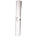 シャープ SHARP レジスター用普通ロール紙 10個入り(幅37.7mm×外径60mm) RL106A