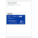 シャープ　SHARP　電子辞書用追加コンテンツ｢現代スペイン語辞典｢改訂版｣(音付き)/和西辞典｢改訂版｣｣　PW-CA16M