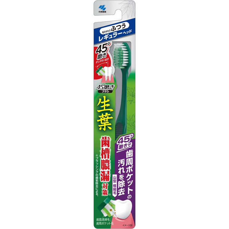 小林製薬　生葉　歯ブラシ　45°磨きブラシ　レギュラー　ふつう