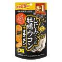 井藤漢方製薬 しじみの入った牡蠣ウコン+オルニチン 徳用 264粒