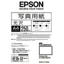 Gv\@EPSON@ʐ^p@@KA4250PSKR