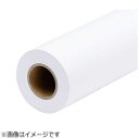 エプソン EPSON フリーカットクロス約914mm(A0ノビサイズ)幅×20m SS8000-36