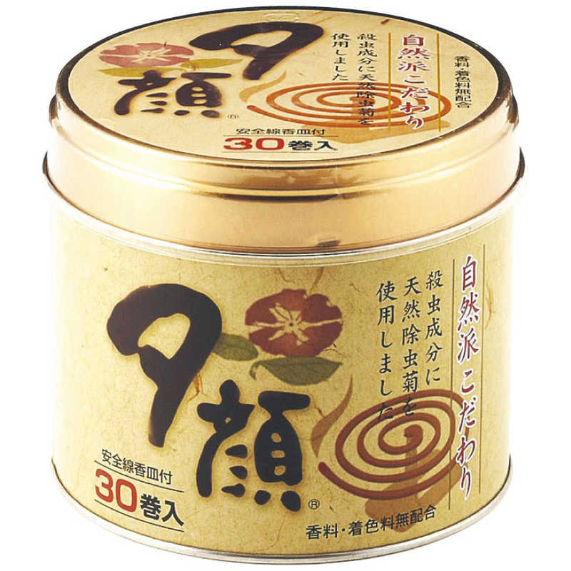 紀陽除虫菊　夕顔 天然 蚊とり線香 缶入 30巻〔蚊取り線香〕