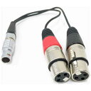 アトモス XLR Breakout Cable Input only ATOMCAB017