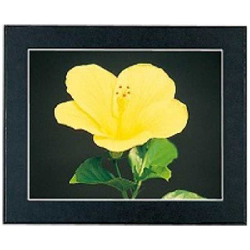 フジカラー マットパネルDX (A3) マットパネルDX