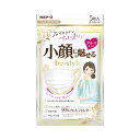 白元 ビースタイル プリーツ ふつう プレミアムホワイト 5枚 ビースタイル