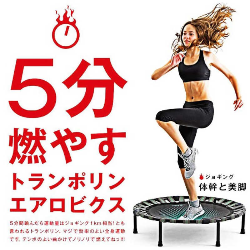 LAVIE 健康グッズ B-SANTE(ビ・サ...の紹介画像2