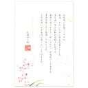 エヌビー社 便箋 5300204
