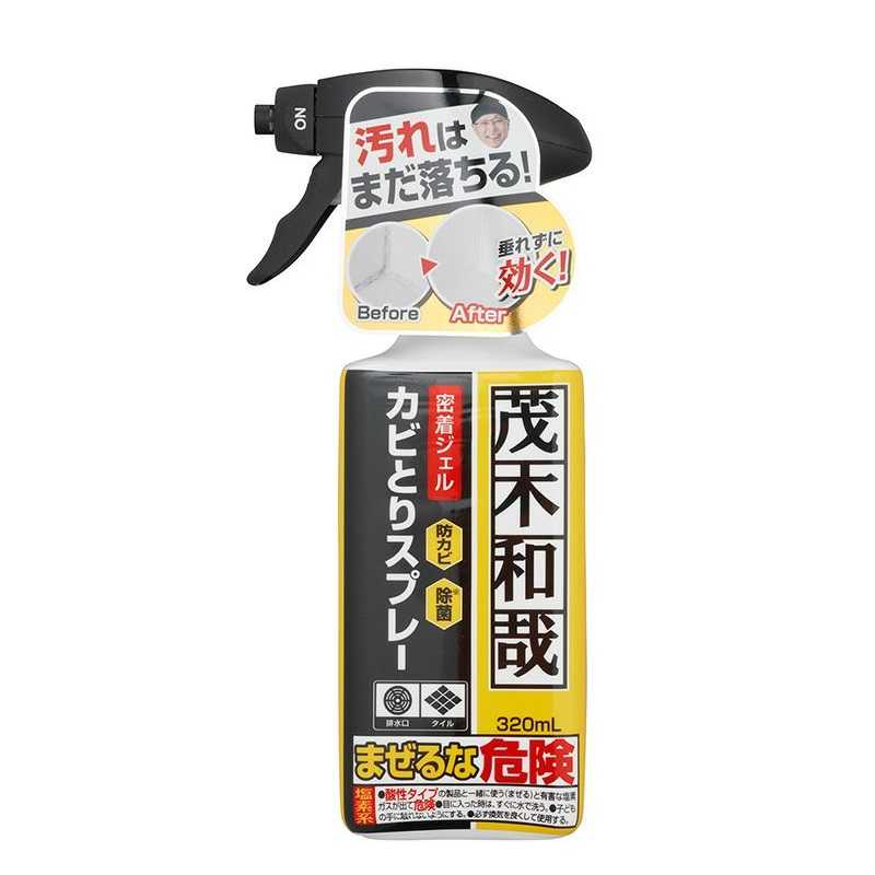 レックケミカル　茂木和哉カビジェルスプレー 320ml