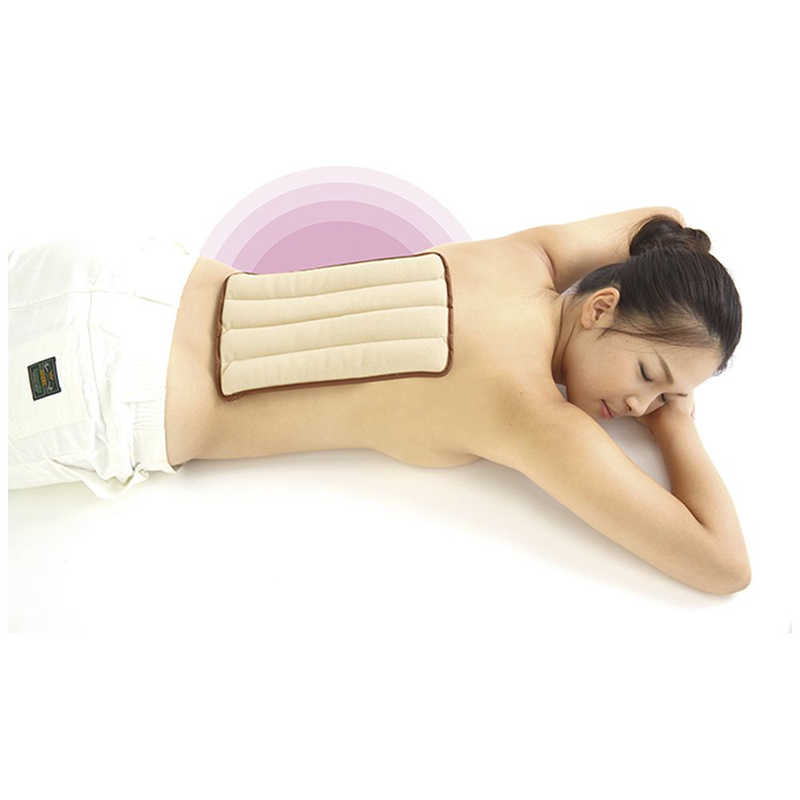 �ٻξ����ۥåȡ���������ѥå� L������ SALOFIX��F20892