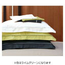 フランスベッド まくらカバー エッフェ プレミアム 標準サイズ (綿100%/43×63cm/ライムグリーン) フランスベッド