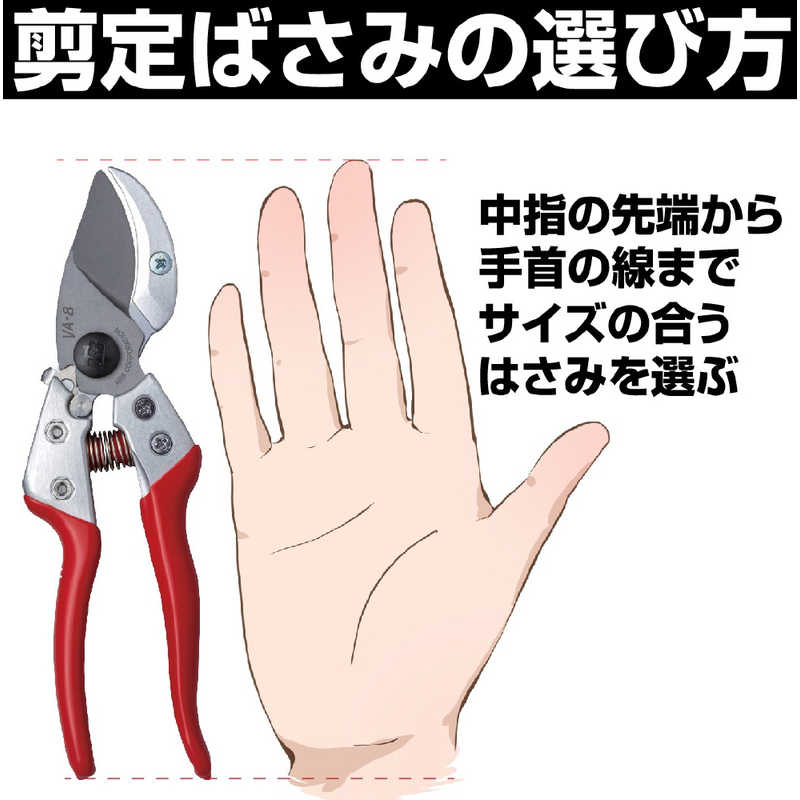 アルスコーポレーション アンビル剪定鋏 8イン...の紹介画像3