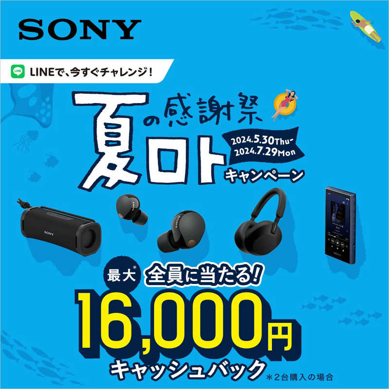 ソニー　SONY　LinkBuds フルワイヤレスイヤホン ホワイト[リモコン・マイク対応 /ワイヤレス(左右分離) /Bluetooth]　WF-L900WM