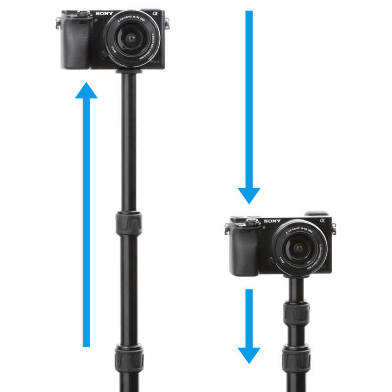 �٥�ܥ󡡰�ӥݡ��� (3��/�����)��MPP50